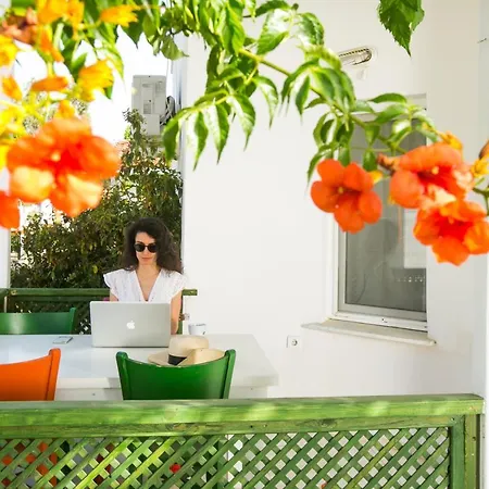 Teos Ormanci Tatil Koyu