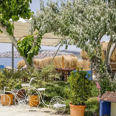 Teos Ormanci Tatil Koyu אתר נופש 3*