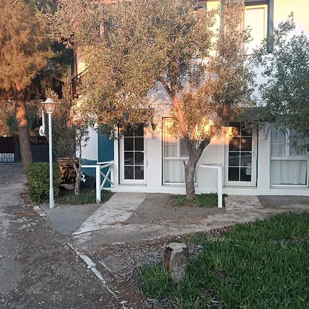 Teos Ormanci Tatil Koyu 3* Сеферихисар