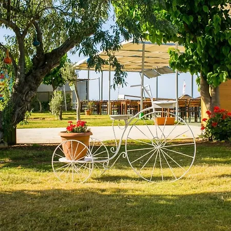 Üdülőközpont Teos Ormanci Tatil Koyu 3*