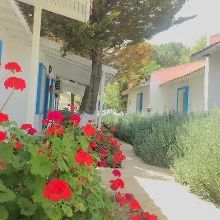 Üdülőközpont Teos Ormanci Tatil Koyu