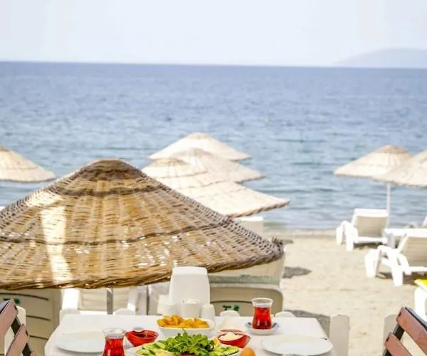 אתר נופש Teos Ormanci Tatil Koyu