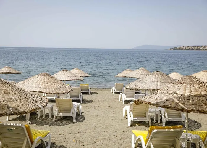 Teos Ormanci Tatil Koyu אתר נופש ספריהיסאר