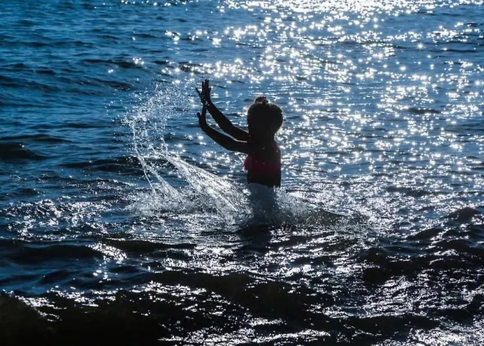 Teos Ormanci Tatil Koyu אתר נופש ספריהיסאר