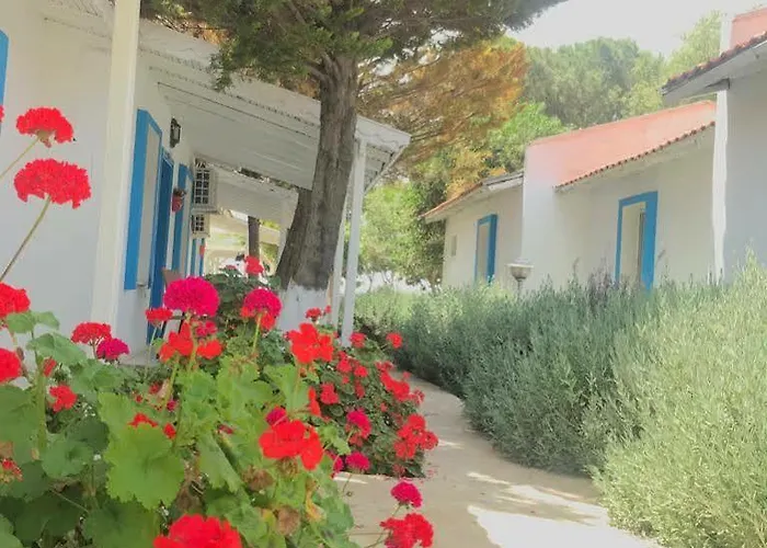 אתר נופש Teos Ormanci Tatil Koyu